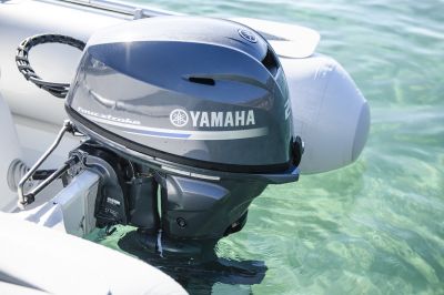 Yamaha F20G