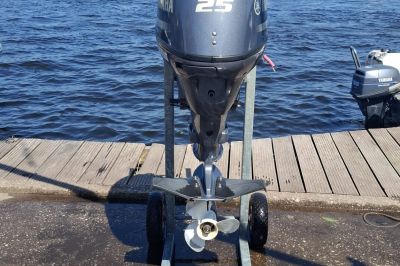 Yamaha F25DES
